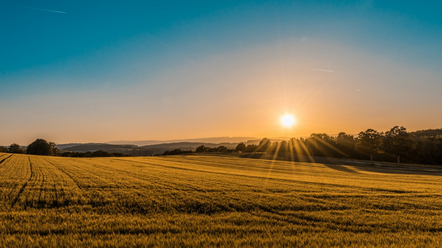 La luce del tramonto su un paesaggio agricolo